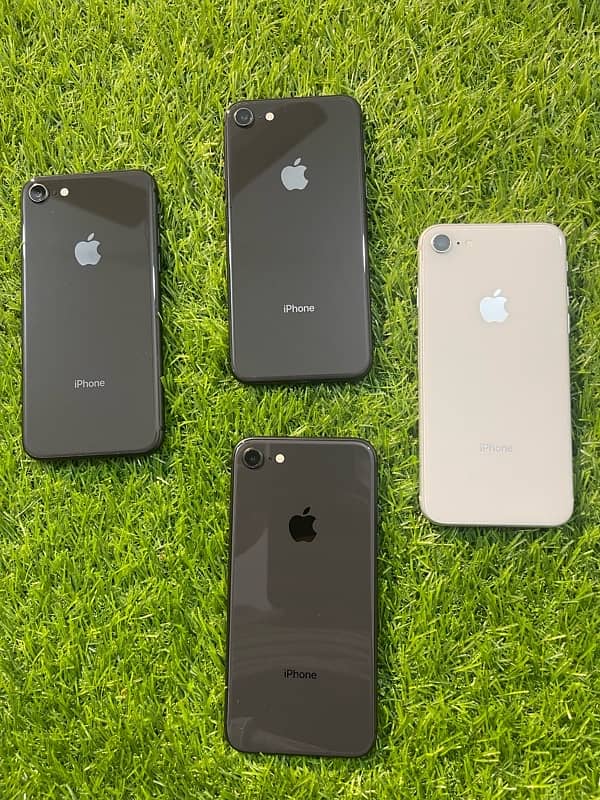 IPhone 8plus or IPhone 8 Special Discount 13