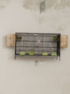 Two Pair Lovebird - Complete Cage