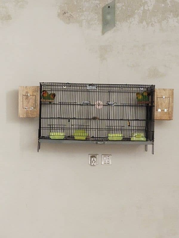 Two Pair Lovebird - Complete Cage 0