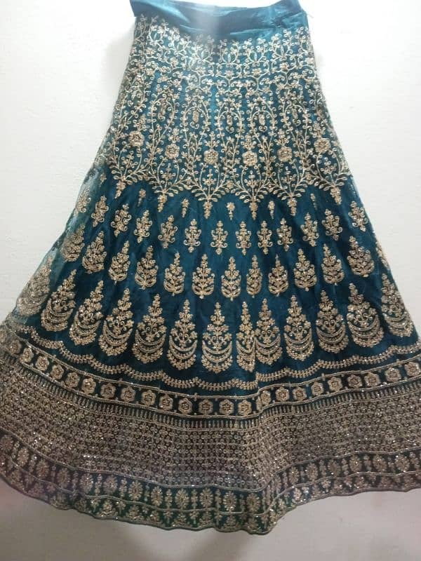 Lehnga Choli 3