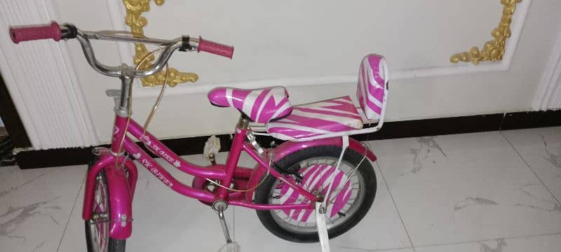 pink cycle 0