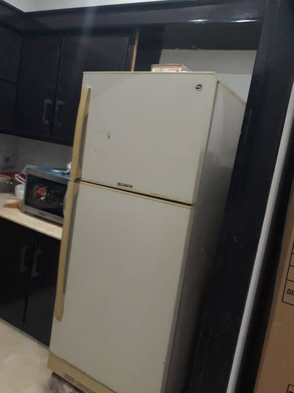 Pel Fridge For Sale 0