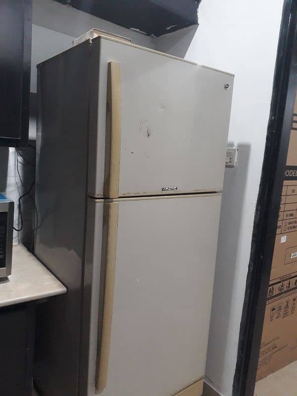 Pel Fridge For Sale 2