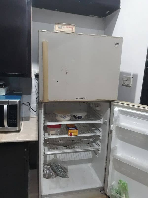 Pel Fridge For Sale 6