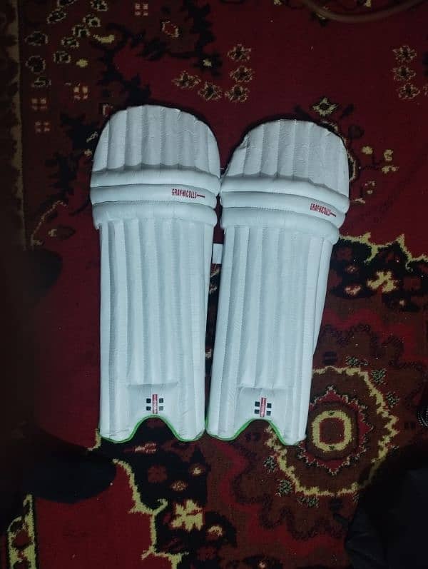 Cricket Kit 6