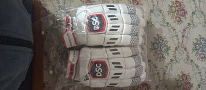 DSC Batting Gloves