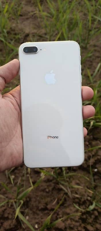 iphone 8 plus 6