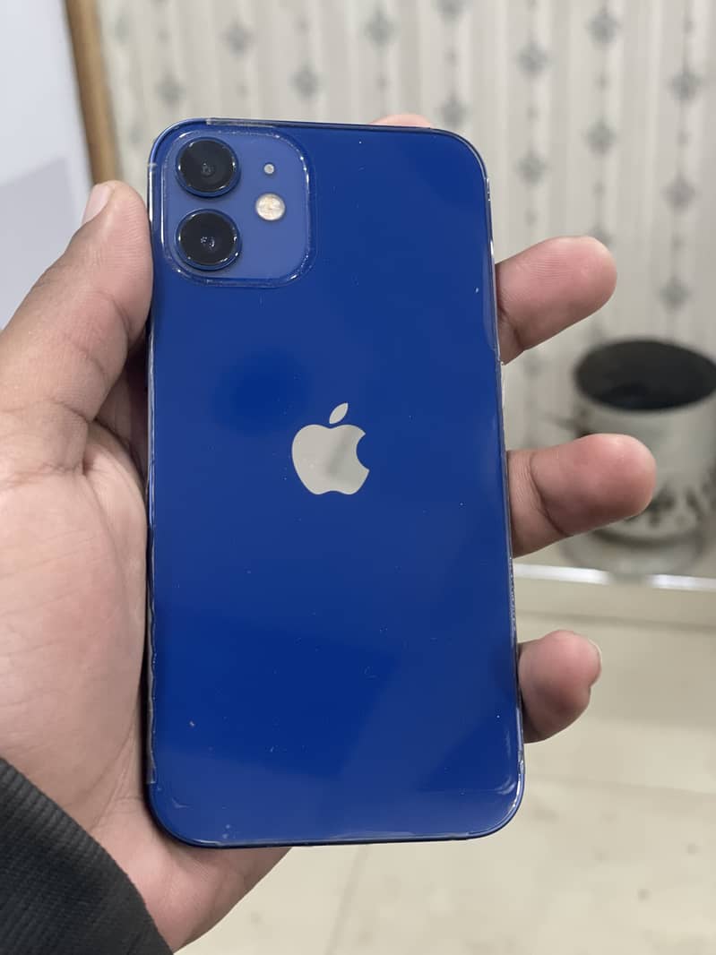 Apple iPhone 12 mini 1