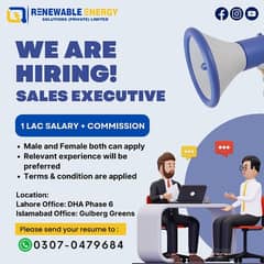 Sales Executives