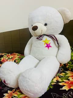 white teddy bear