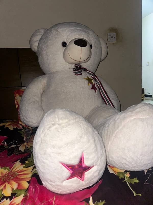 white teddy bear 11