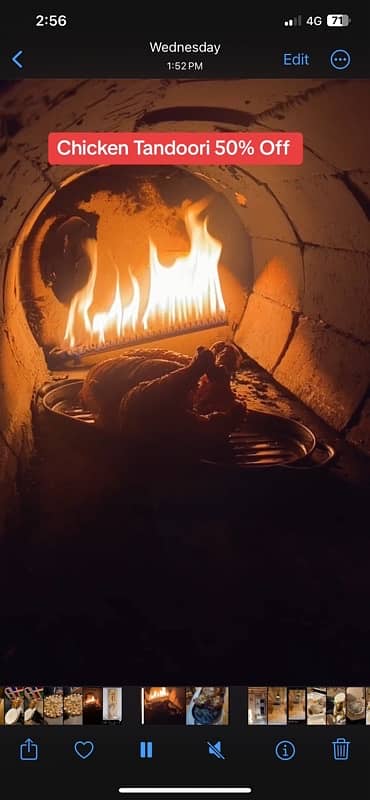 brick oven Italian Tandoor for pizza, Chicken tandoori. start business 2