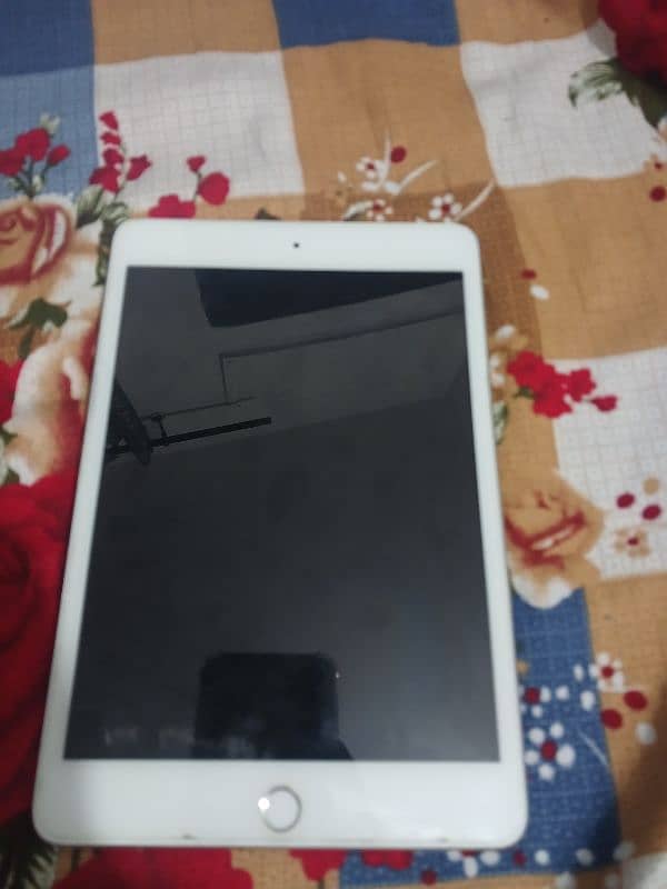 Ipad mini 5 0