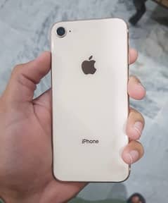 iphone 8 pta approved