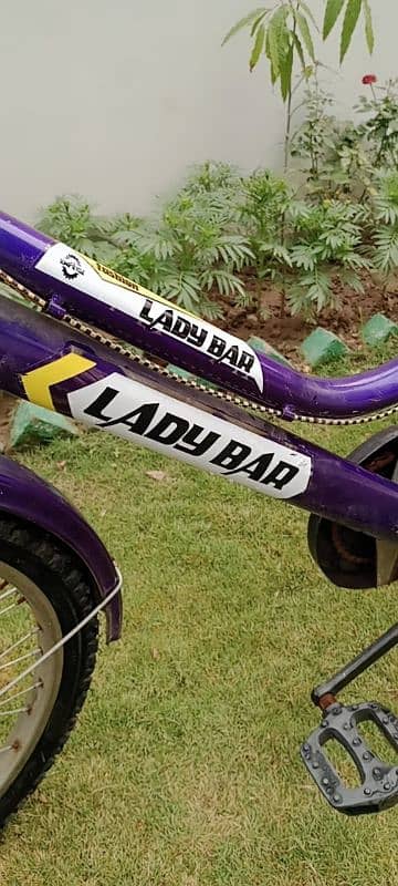 Lady Bar Girls Cycle 2