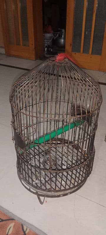 Green Parrot Fancy cage 0