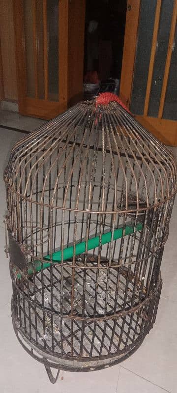 Green Parrot Fancy cage 3