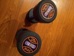 2 14kg dumbbells