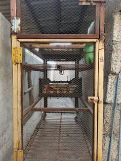 chicken cage double portion ma ha full iron ma ha agrent sale kerna ha