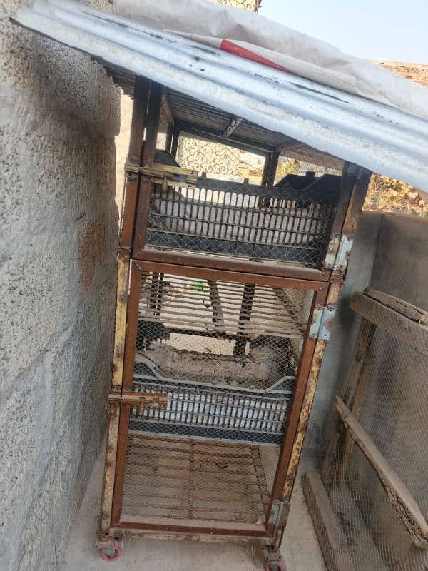 chicken cage double portion ma ha full iron ma ha agrent sale kerna ha 8