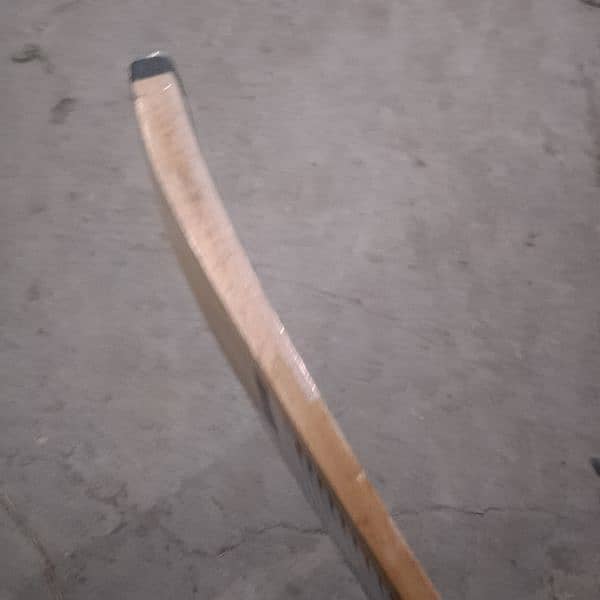 cricket bat 2