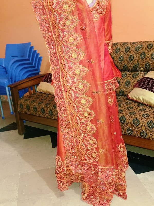 Bridal Lehnga and Frock 5