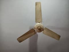 ceiling fan