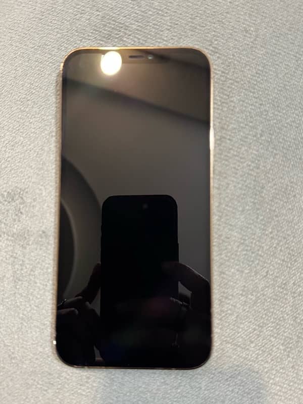 iphone 12 promax gold colour 128gb 3