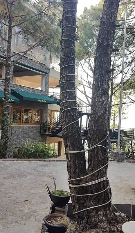 Rented Apartment For Sale In Whispering Pines Pir Sohawa Road Margalla Hills Near Dino Valley 6