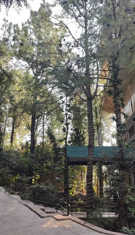 Rented Apartment For Sale In Whispering Pines Pir Sohawa Road Margalla Hills Near Dino Valley 9