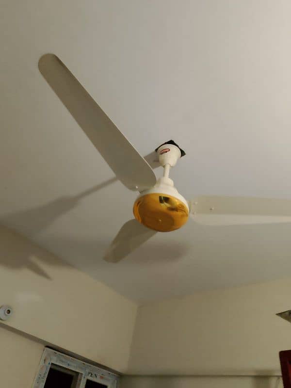 ceiling fan 4