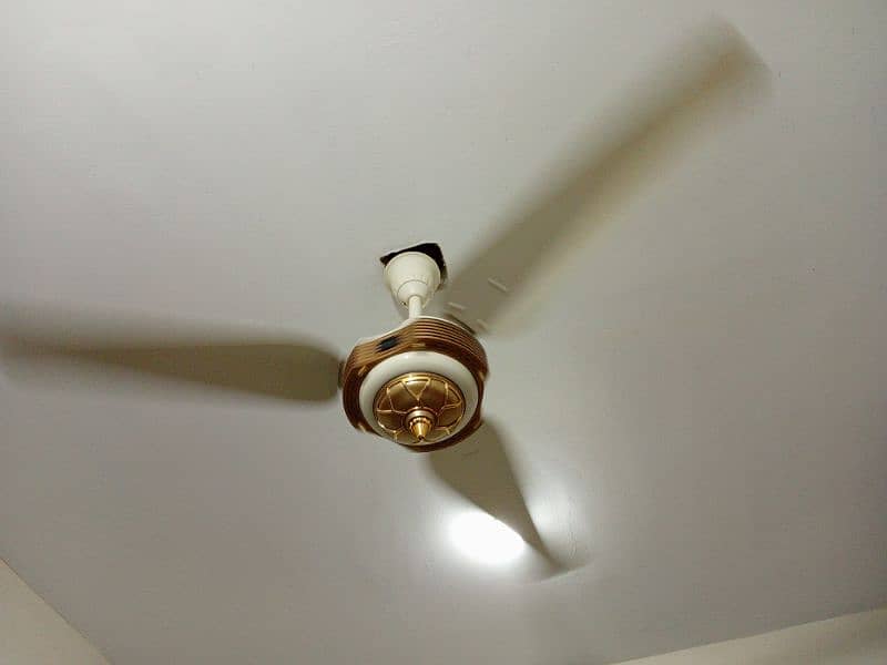 ceiling fan 5