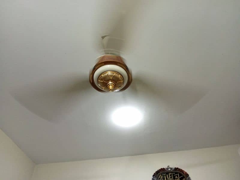 ceiling fan 6