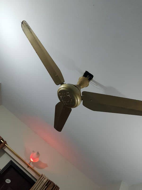 ceiling fan 7