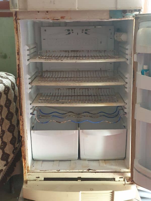 Jumbo Size Pel Refrigerator 1