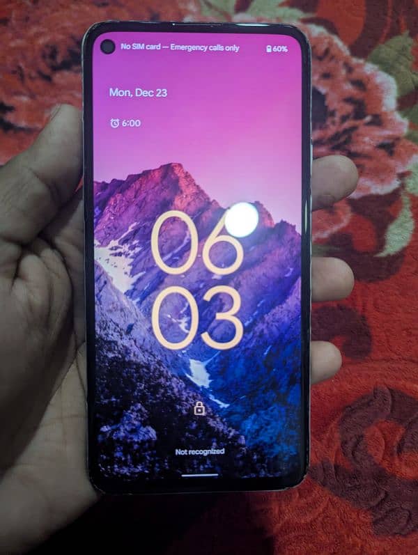 Google Pixel 4a 5g 0