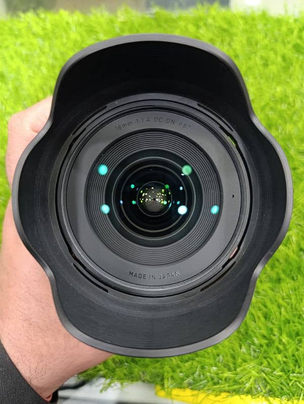 Sony 24-105mm F4 G master 1