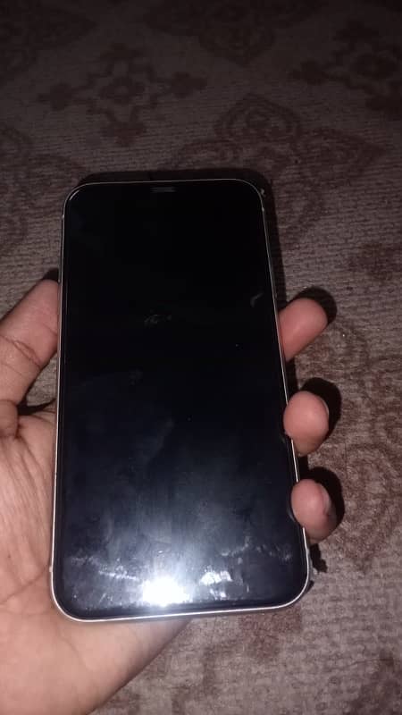 iphone 11 display issue 2