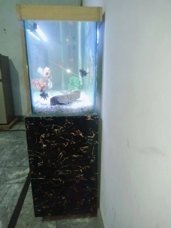 fish aquarium 6