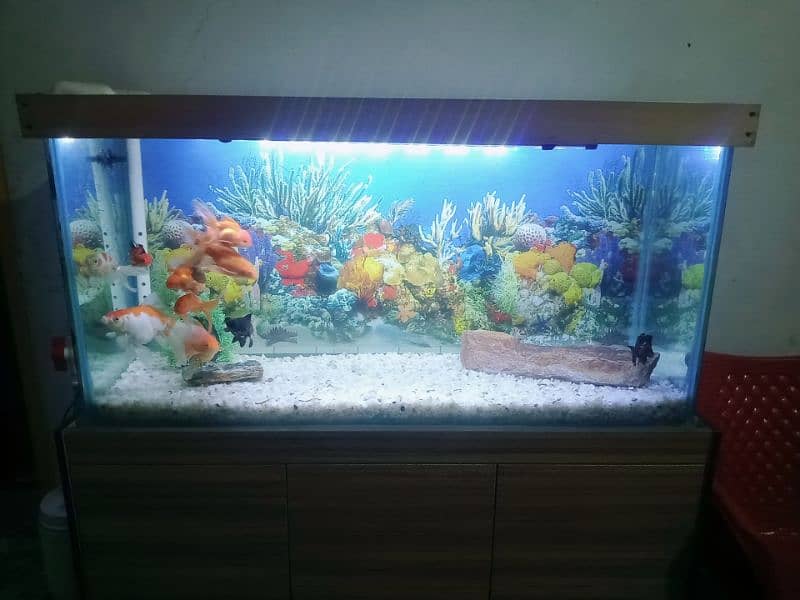 fish aquarium 7