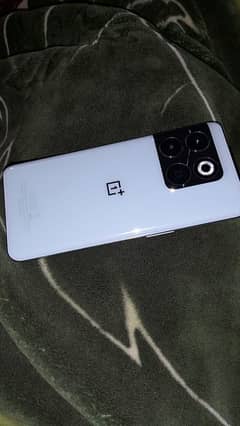 one plus 10t nonpta