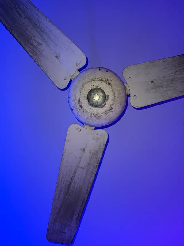 Ceiling Fan 1