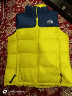 The North Face jacket parka