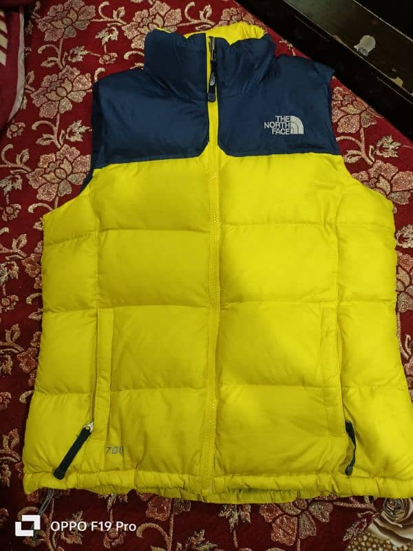 The North Face jacket parka 0