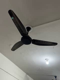 Taimoor 30 watt Fans