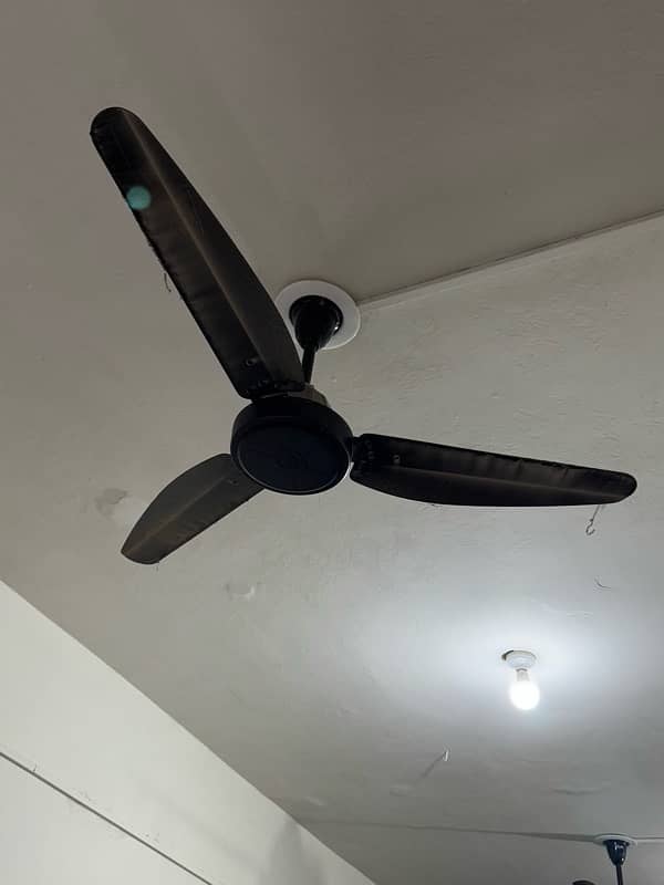 Taimoor 30 watt Fans 0