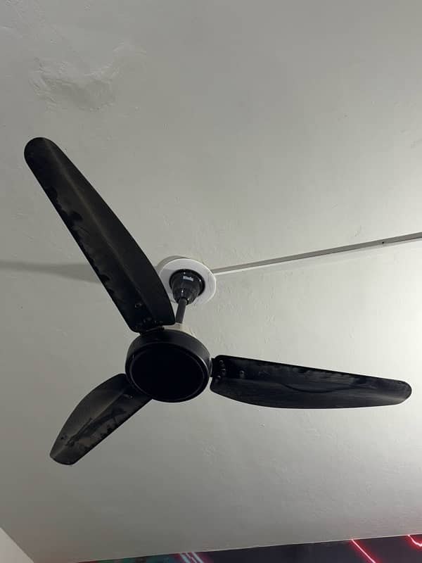 Taimoor 30 watt Fans 1