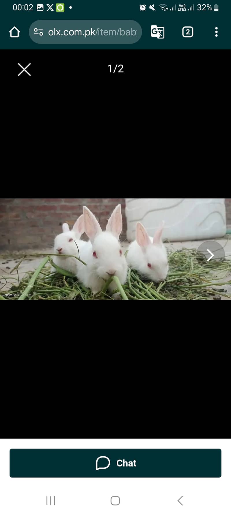 Rabbits all age 0