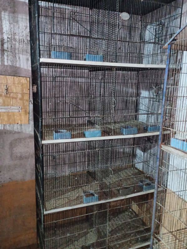 Two 8 portions cages & One 2 portion Cage 1