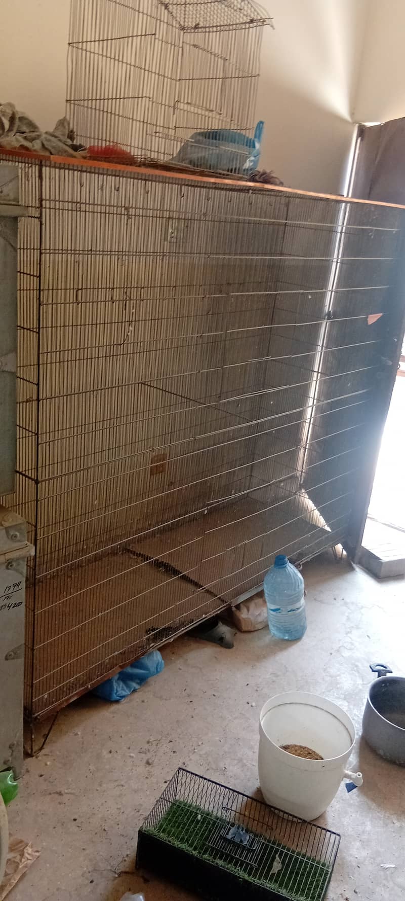 Some birds and cage available 5